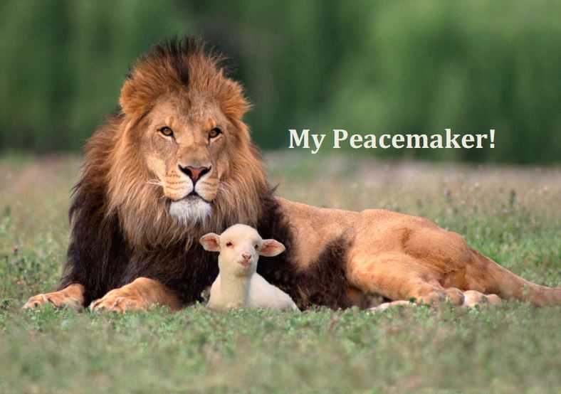 My Peacemaker!